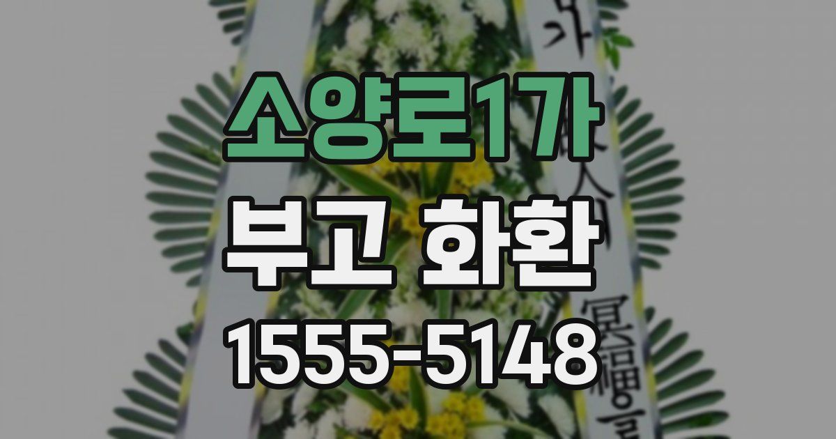 소양로1가 부고 화환