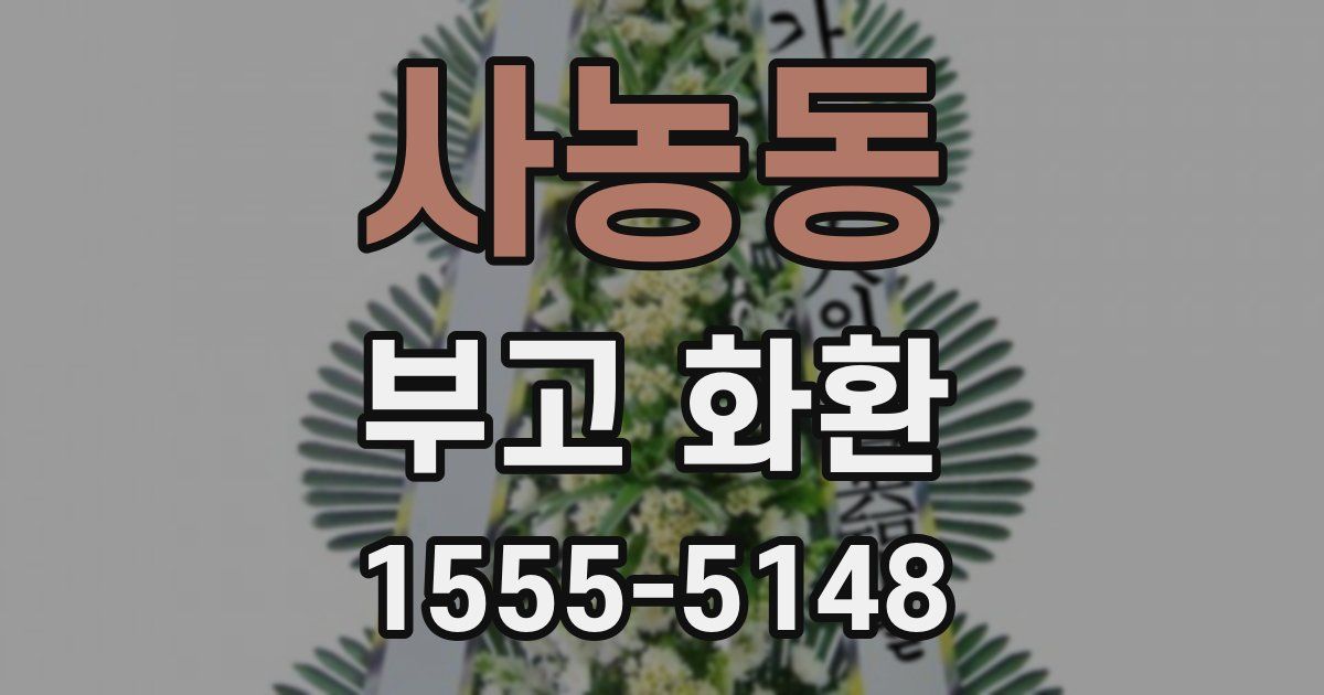 사농동 부고 화환