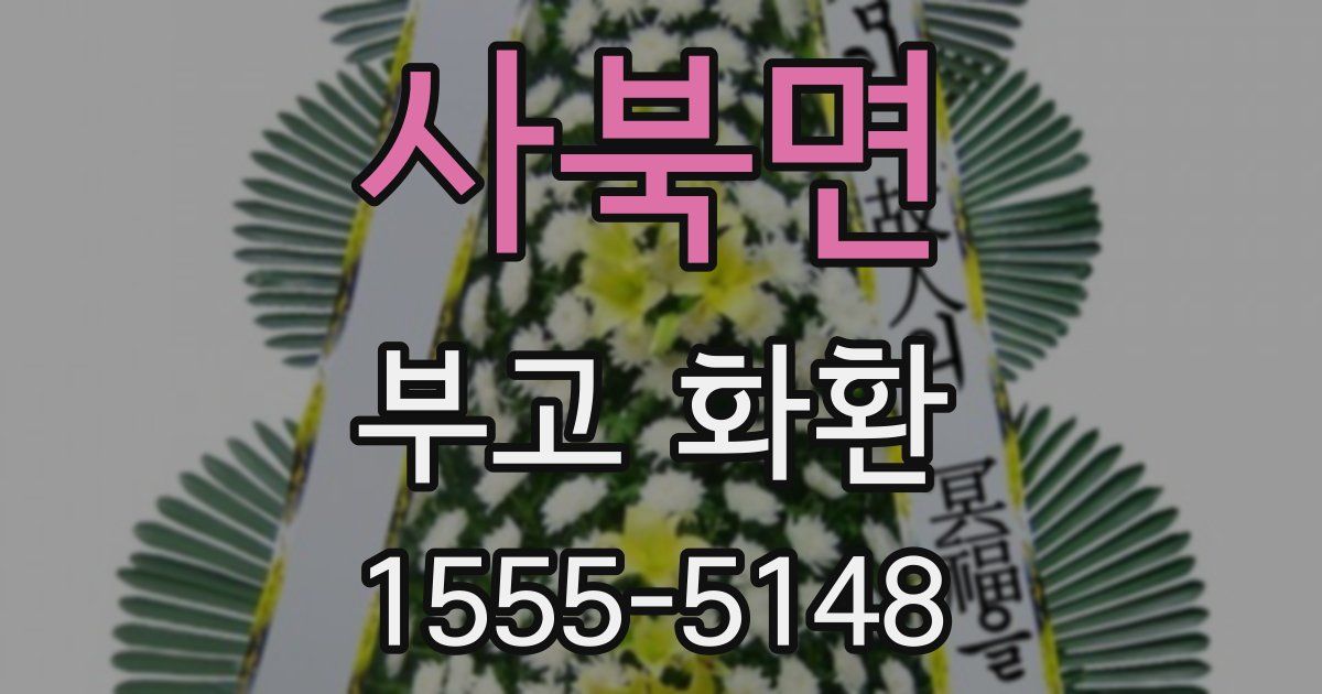 사북면 부고 화환