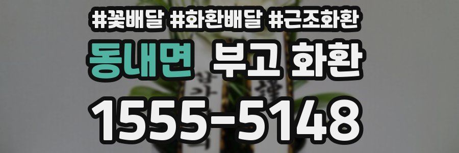 동내면 부고 화환