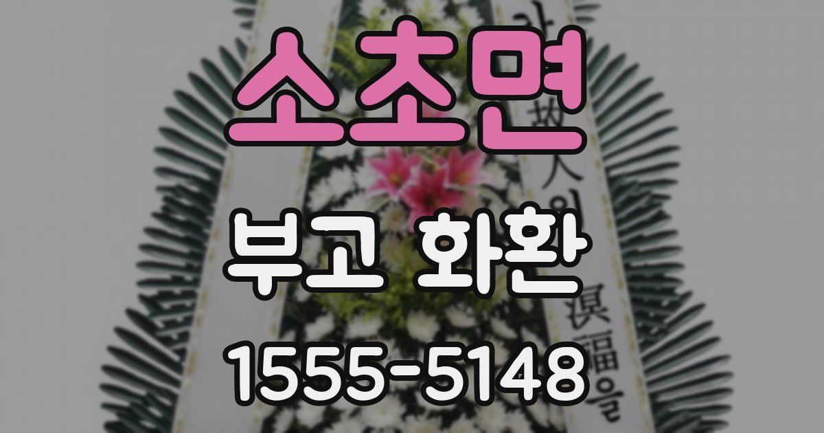 소초면 부고 화환