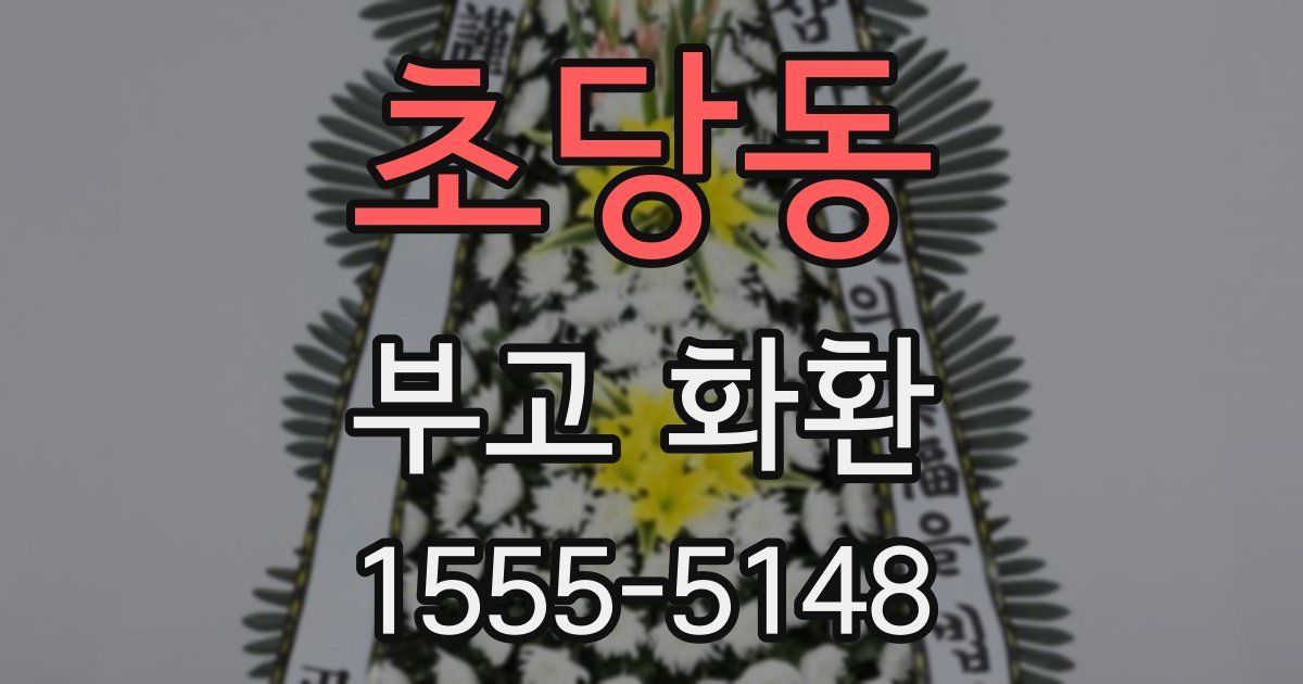 초당동 부고 화환