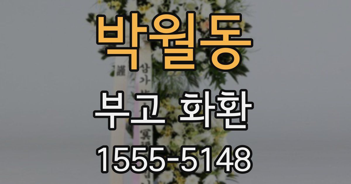 박월동 부고 화환