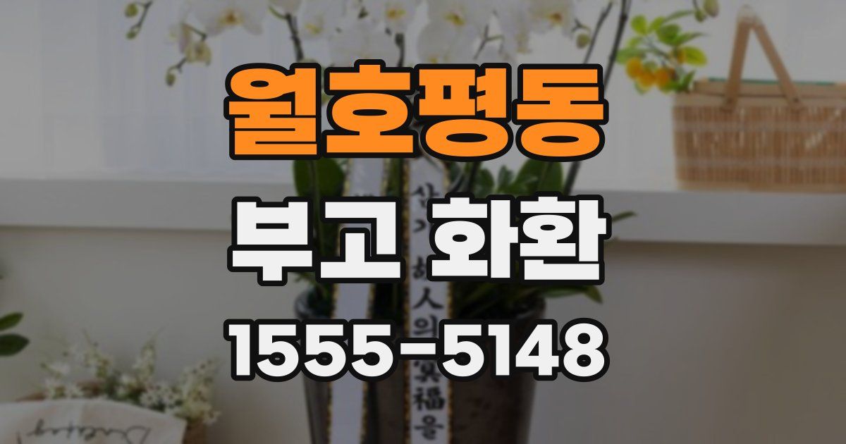 월호평동 부고 화환