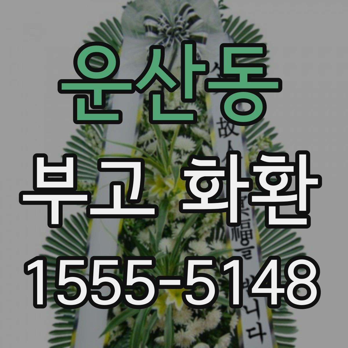 운산동 부고 화환