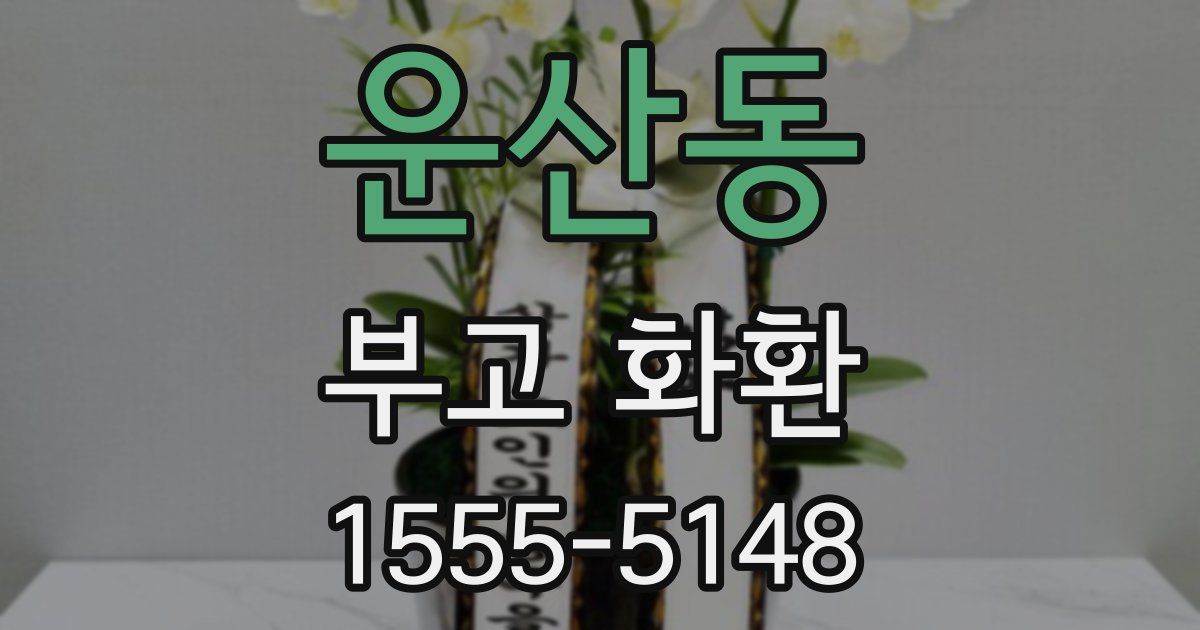 운산동 부고 화환