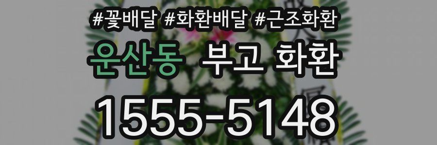 운산동 부고 화환