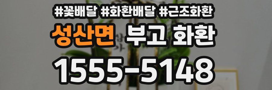 성산면 부고 화환