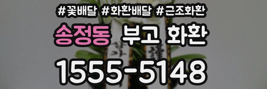 송정동 부고 화환