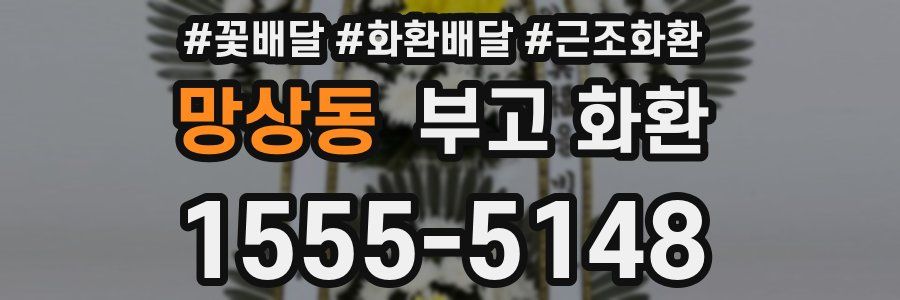 망상동 부고 화환