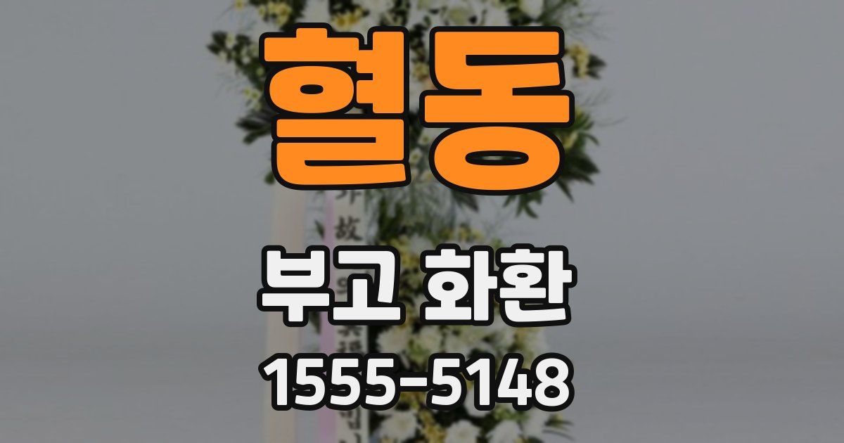 혈동 부고 화환