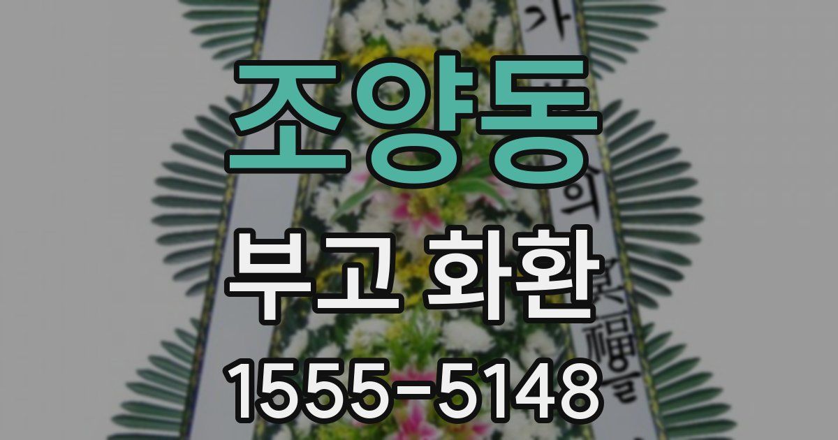 조양동 부고 화환