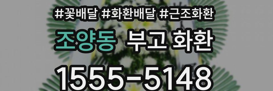 조양동 부고 화환