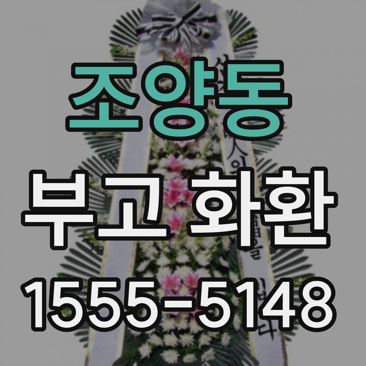 조양동 부고 화환
