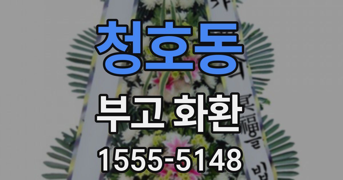 청호동 부고 화환