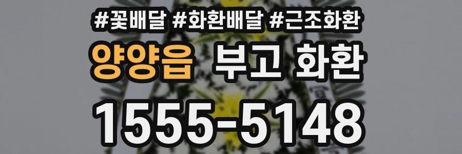 양양읍 부고 화환