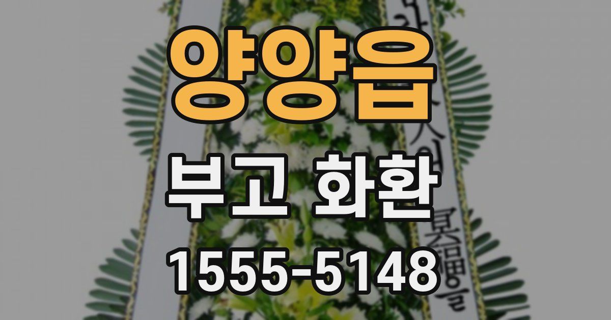 양양읍 부고 화환