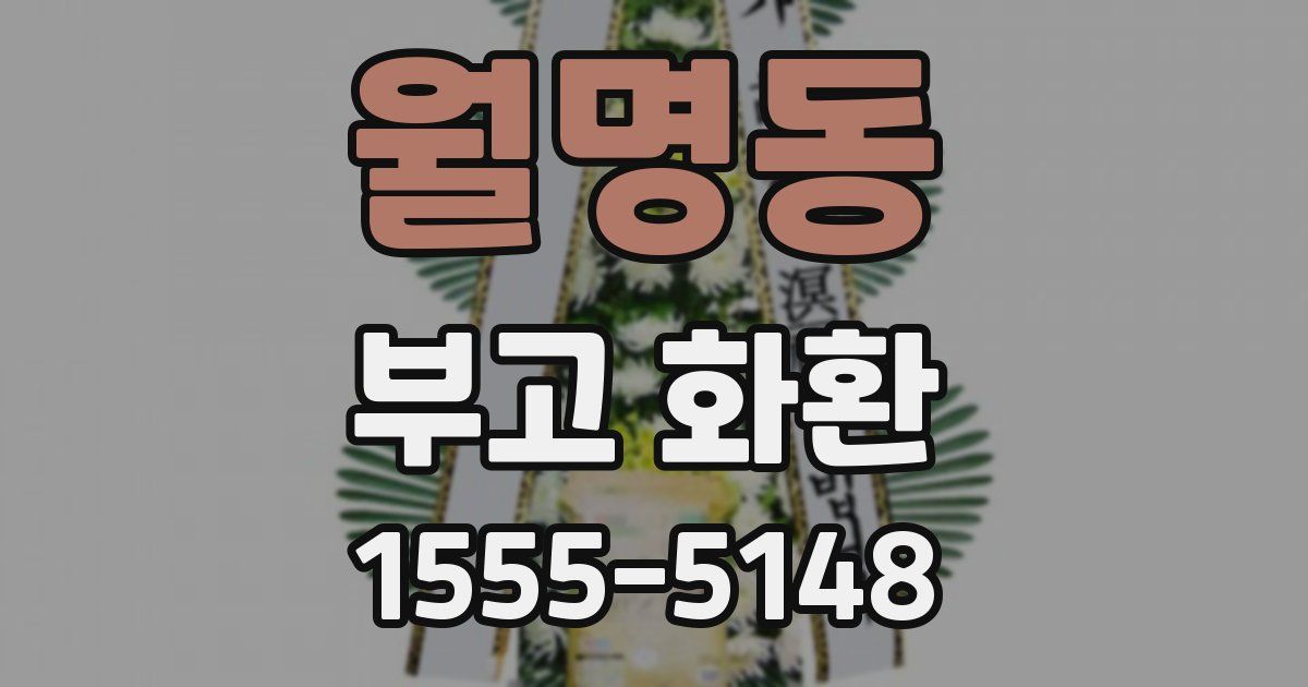 월명동 부고 화환