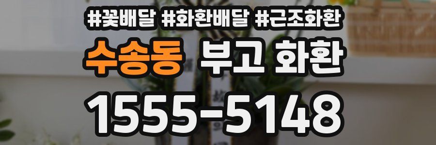 수송동 부고 화환