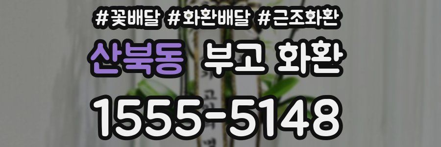 산북동 부고 화환