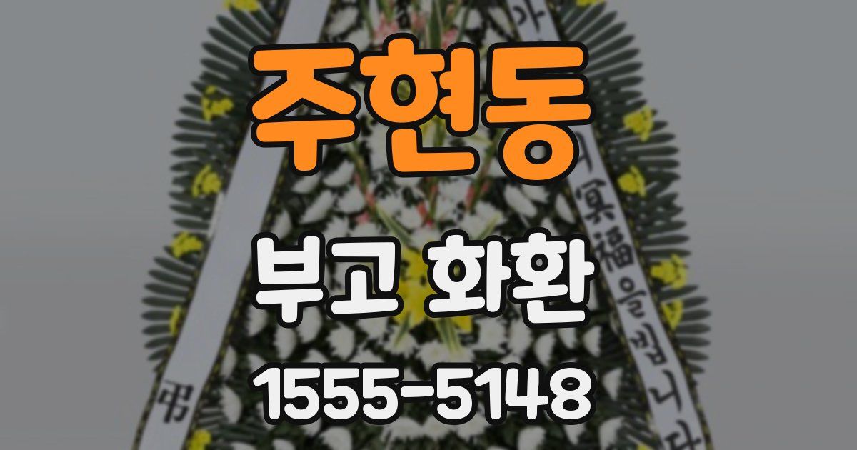 주현동 부고 화환