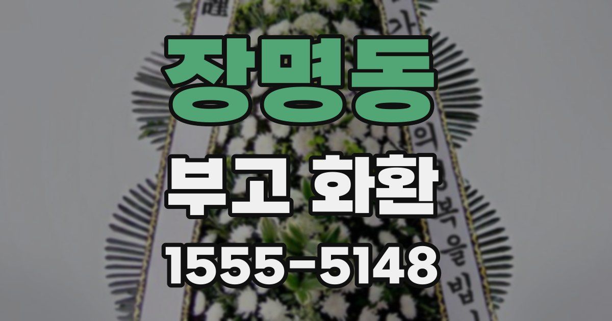 장명동 부고 화환