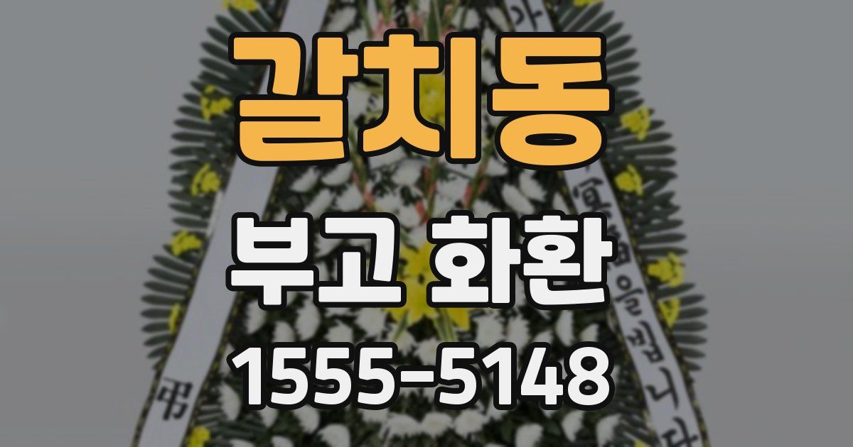 갈치동 부고 화환