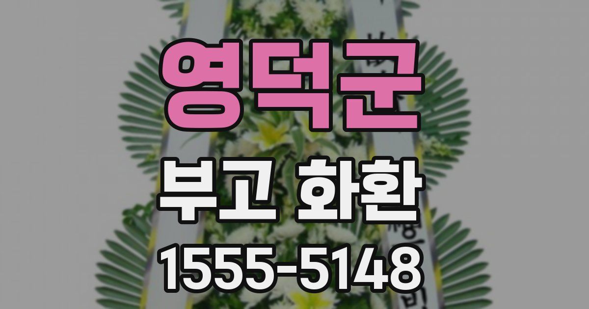 영덕군 부고 화환