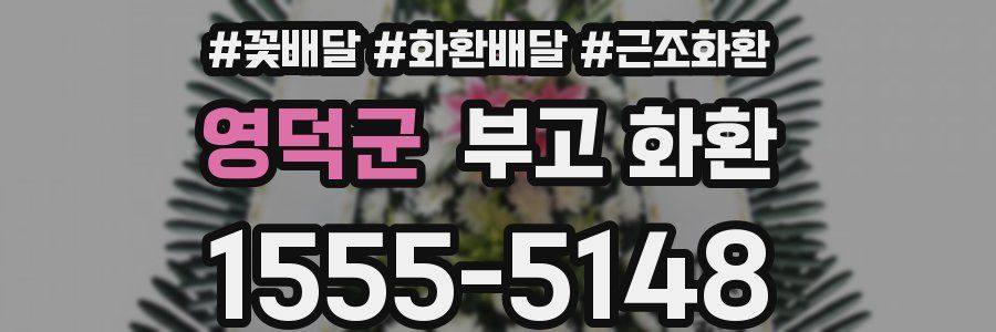 영덕군 부고 화환