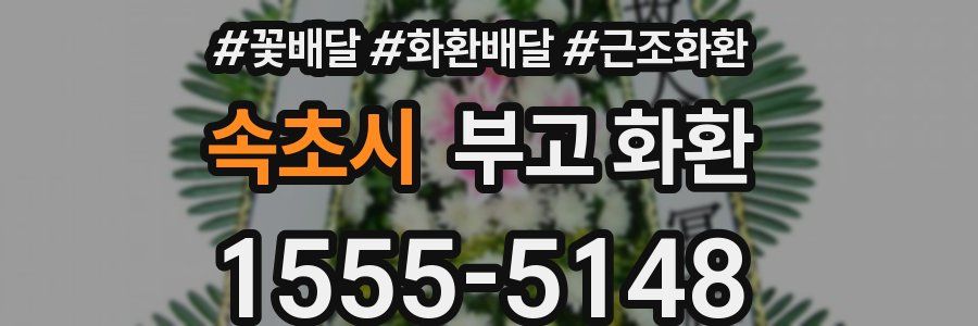 속초시 부고 화환