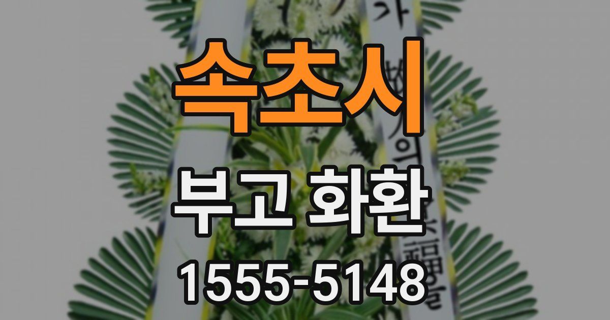 속초시 부고 화환