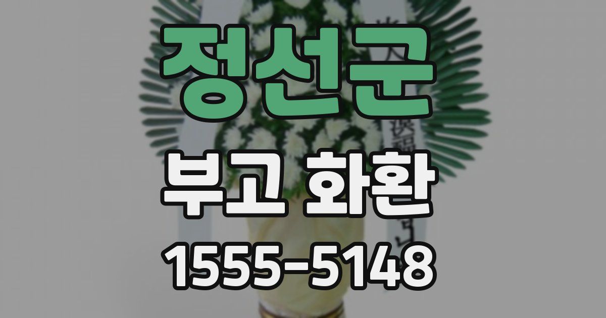 정선군 부고 화환