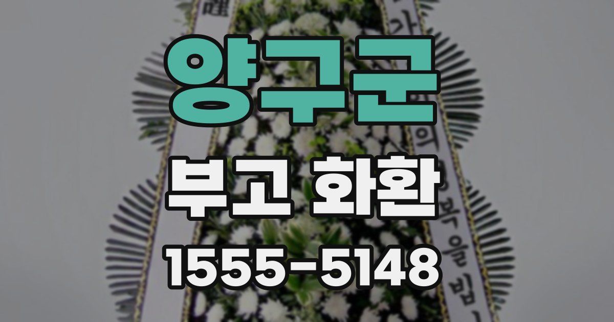양구군 부고 화환