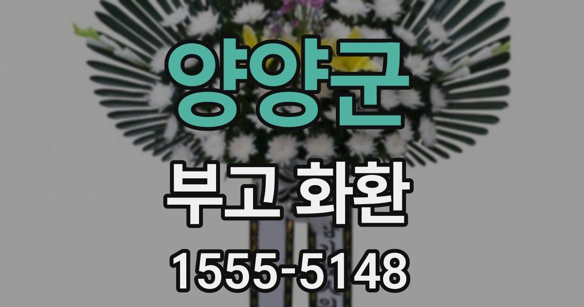 양양군 부고 화환