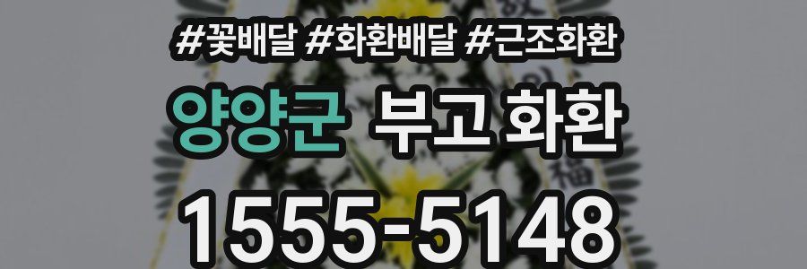 양양군 부고 화환