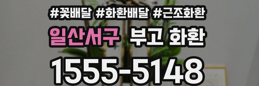 일산서구 부고 화환