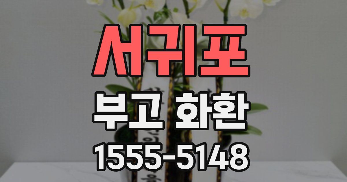 서귀포 부고 화환
