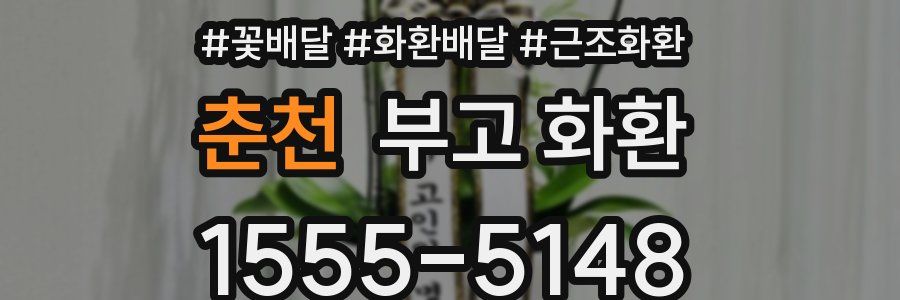 춘천 부고 화환