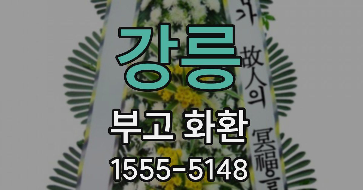 강릉 부고 화환