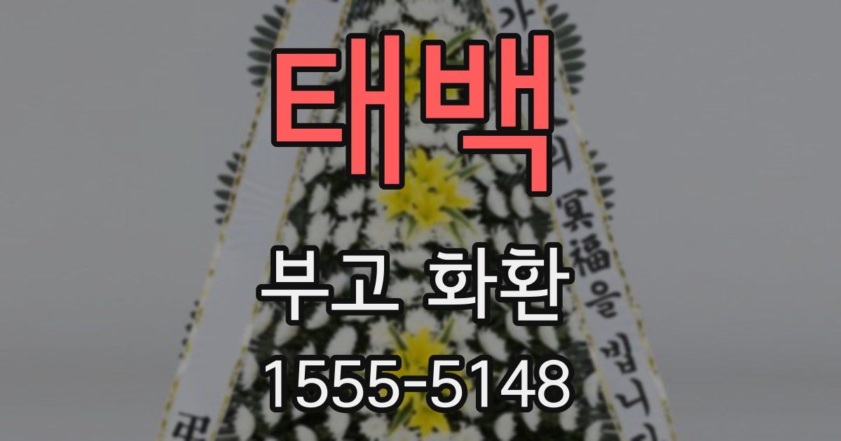 태백 부고 화환