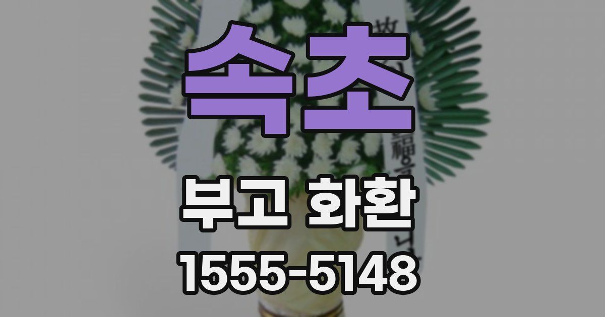 속초 부고 화환