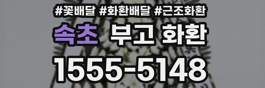 속초 부고 화환