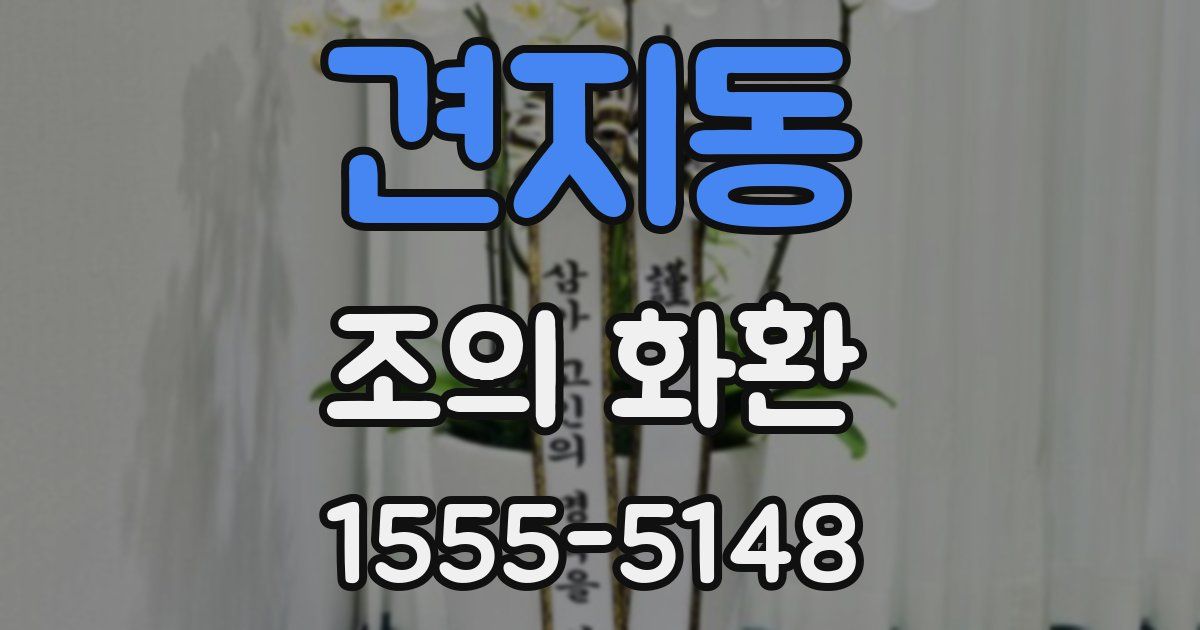 견지동 조의 화환
