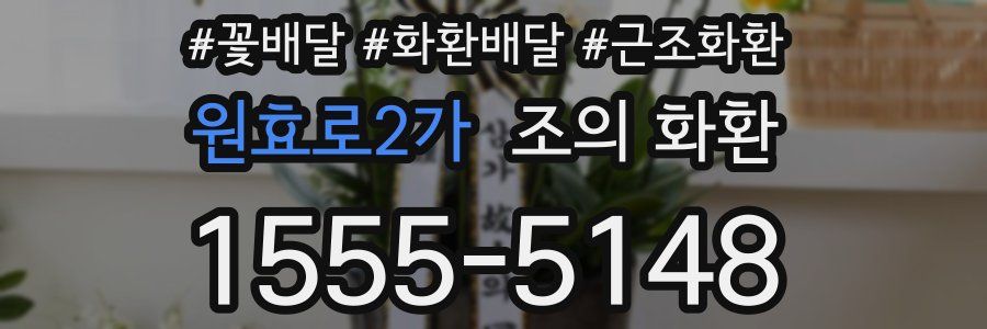 원효로2가 조의 화환