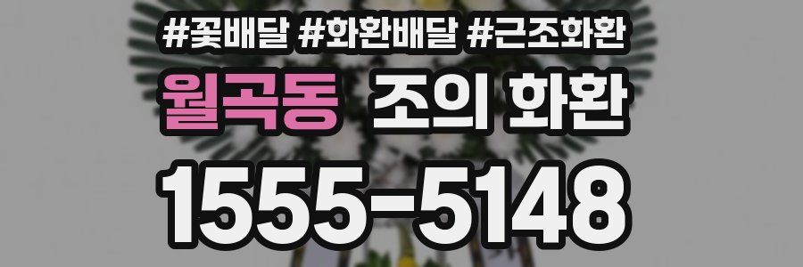 월곡동 조의 화환