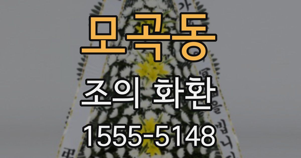 모곡동 조의 화환