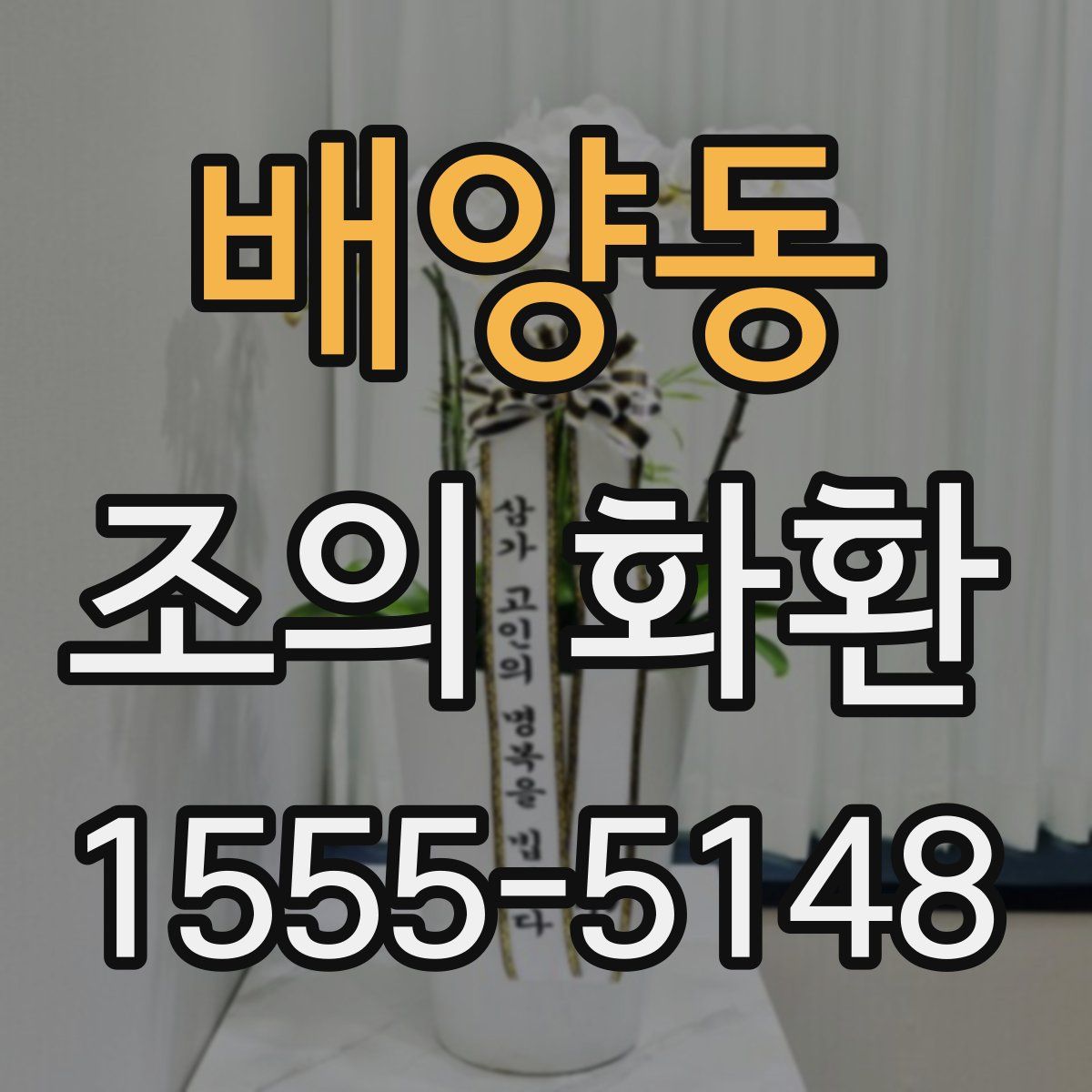 배양동 조의 화환