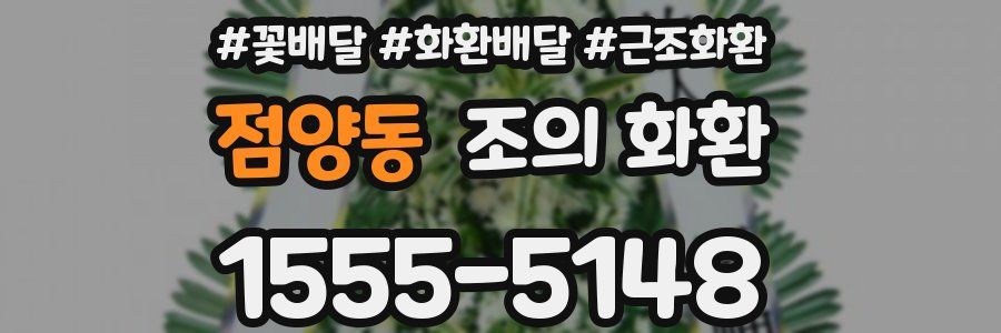 점양동 조의 화환