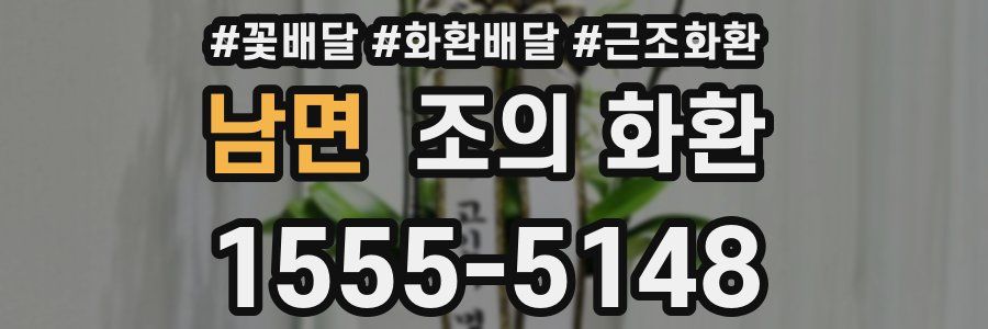 남면 조의 화환