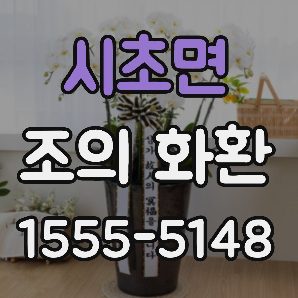 시초면 조의 화환
